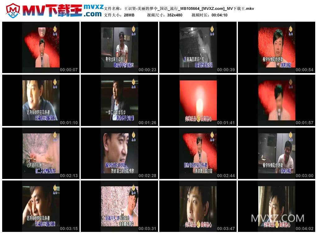 王识贤-美丽的梦中_国语_流行_MB105664